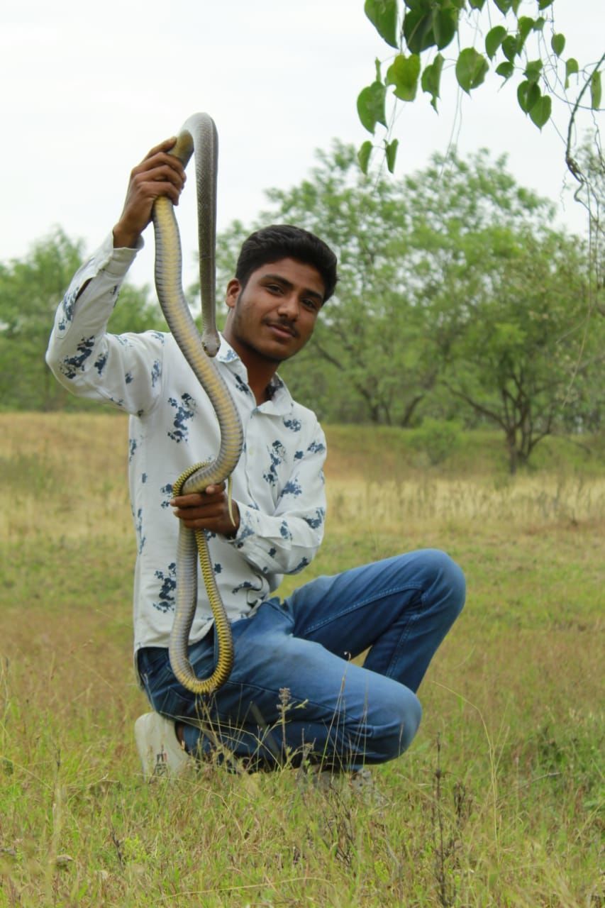 plant, one person, full length, casual clothing, tree, smiling, nature, grass, leisure activity, men, adult, happiness, portrait, holding, day, field, agriculture, young adult, lifestyles, looking at camera, emotion, front view, land, sitting, outdoors, person, sky, landscape, enjoyment, rural scene, cheerful, growth, smile, meadow