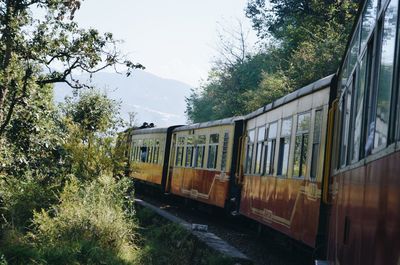 Train by trees against sky