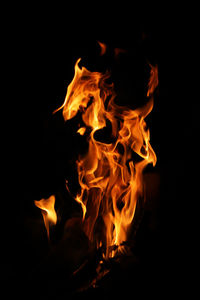 Close-up of bonfire at night