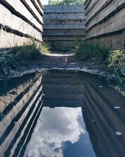 Reflection of sky on building