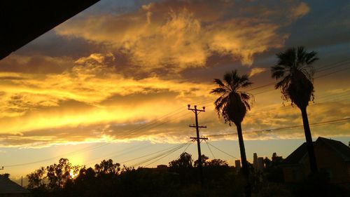 Low angle view of silhouette trees against dramatic sky