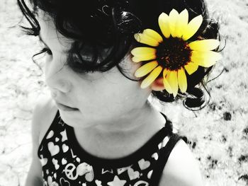 Close-up of woman holding flowers