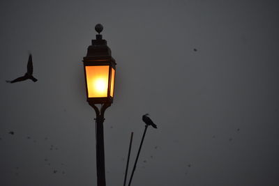 Low angle view of illuminated street light