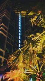 Low angle view of illuminated building at night