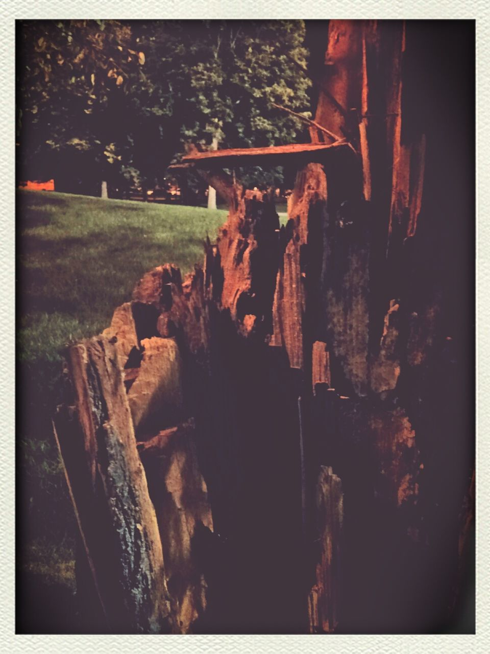 transfer print, auto post production filter, built structure, building exterior, architecture, damaged, obsolete, abandoned, deterioration, old, run-down, outdoors, tree, house, day, no people, weathered, destruction, high angle view