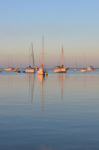 Sailboats moored in sea against clear sky