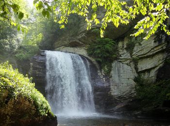 Scenic view of waterfall in forest
