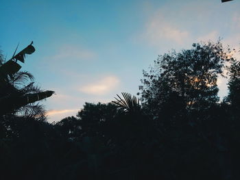 Low angle view of silhouette trees against sky during sunset