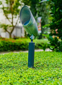 Close-up of green plant in park