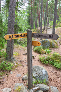 Information sign on tree trunk in forest