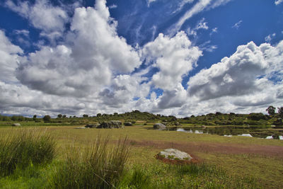 Scenic view of field against sky