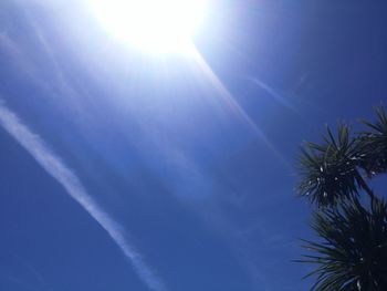 Low angle view of vapor trail in sky