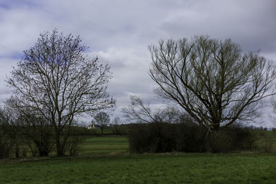 Bare trees on field against sky
