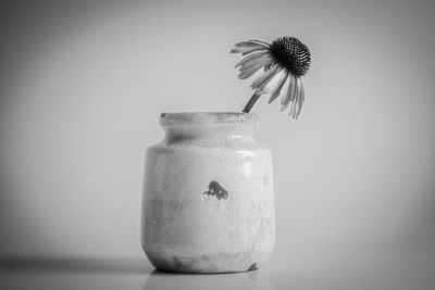 Close-up of vase against white background