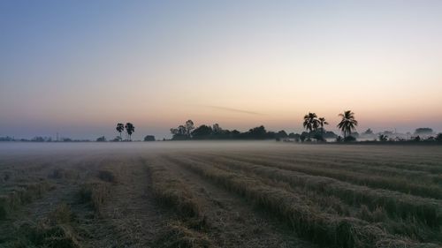 Scenic view of field against sky during sunset