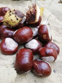 High angle view of fruits on table