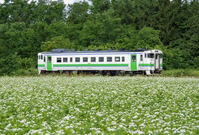 Train on field