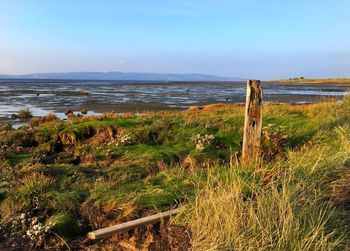 Scenic view of landscape against clear sky