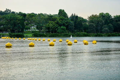 Scenic view of lake against clear sky