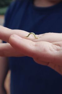 My daughter holding an inchworm