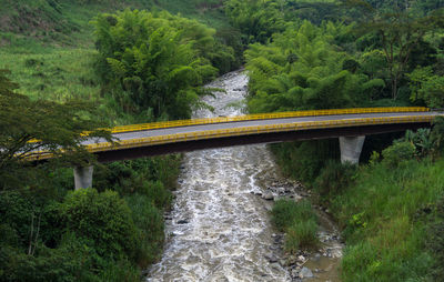 Bridge over river amidst trees in forest