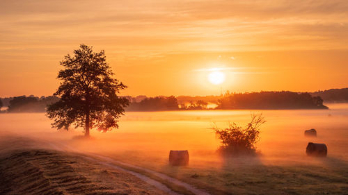 Scenic view of sunset