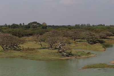 Scenic view of lake against sky