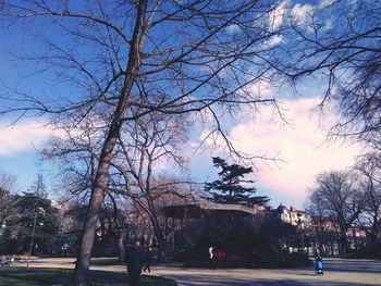 Low angle view of bare trees against sky