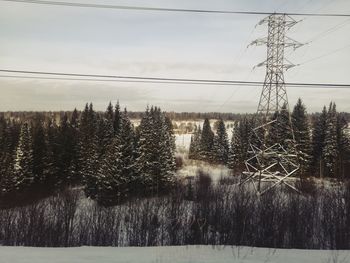 Trees and electricity pylon against sky during winter