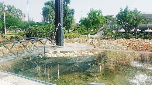 Plants growing by swimming pool against lake