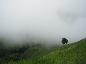 Scenic view of landscape against sky