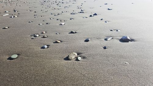Natural composition of rocks on sand at beach