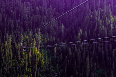 Cable car in manali in mountains