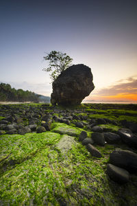 Scenic view of rocks on field against sky during sunset