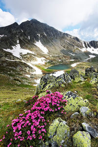 Scenic view of lake and mountains against sky