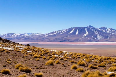 Scenic view of snowcapped mountains against clear blue sky