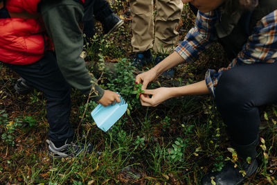 High angle view of woman picking berries from plants with son during vacation in forest