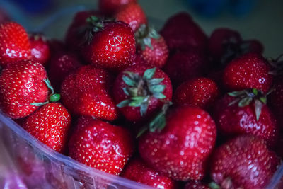 High angle view of strawberries