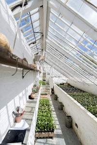 Long view through a magnificent old light-flooded greenhouse made of white  bricks, wood and glass.