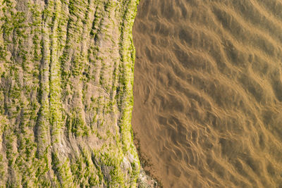 Full frame shot of agricultural field