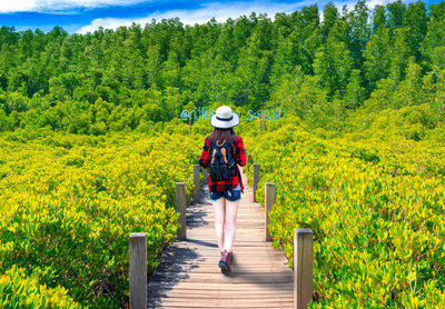 Rear view of woman on footbridge