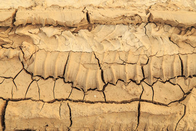 High angle view of cracked land