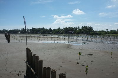 Panoramic view of wooden post against sky