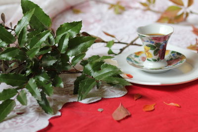 Close-up of food on table