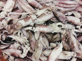 Full frame shot of fishes at shop for sale