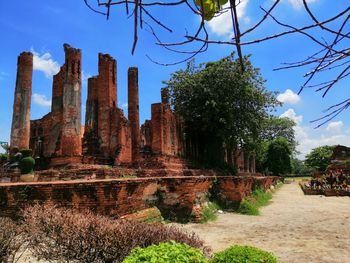 Trees in front of temple against sky