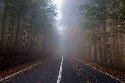 Road amidst trees against sky