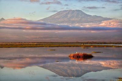 Reflection of kilimanjaro in the lake