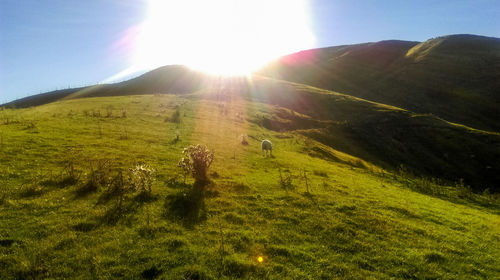 Scenic view of landscape against bright sun