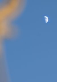 Low angle view of moon in sky